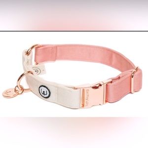 🐶 NEW 🐱 Eat Play Wag Blossom Ivory Pet Collar | Size: Small